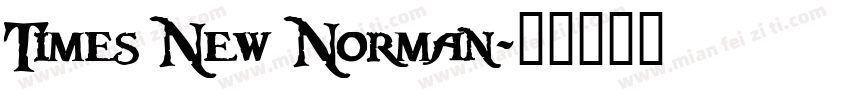 Times New Norman字体转换